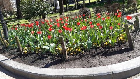 Primavera en Asturias