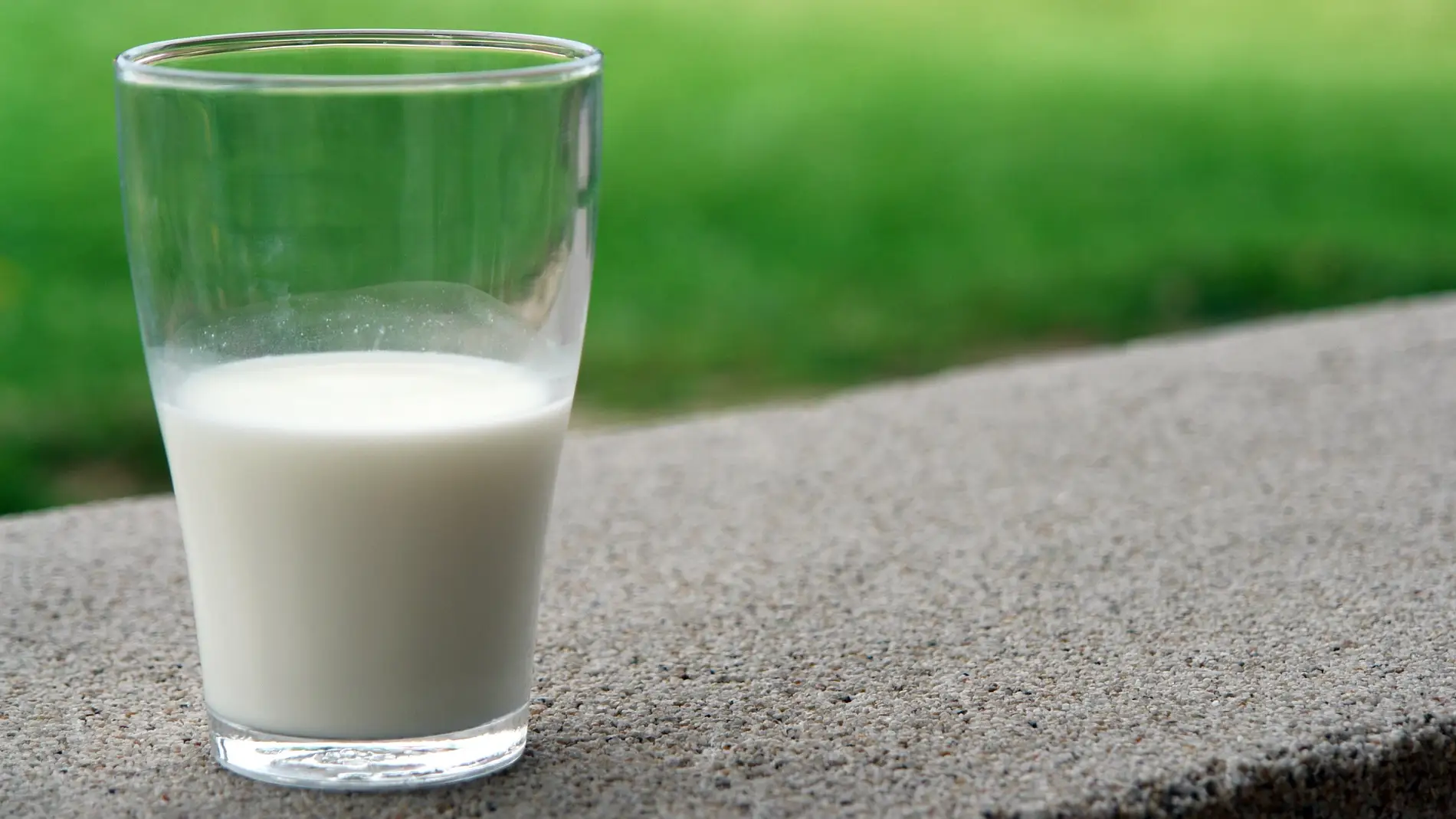 Imagen de archivo de un vaso de leche. 