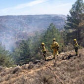 Bomberos forestales tratan de extinguir el incendio de Castellón