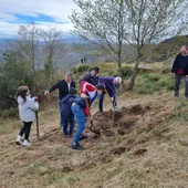 A Xunta celebra o día internacional dos bosques cunha plantación simbólica A Xunta celebra o día internacional dos bosques cunha plantación simbólica