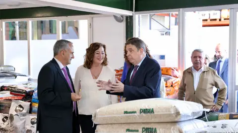 El campo balear recibirá un 48% más de fondos de ayuda directa con la nueva PAC El campo balear recibirá un 48% más de fondos de ayuda directa con la nueva PAC