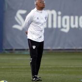 Pellicer, Málaga CF