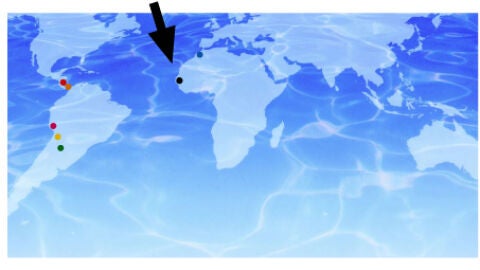 Cooperaci&oacute;n C&oacute;rdoba