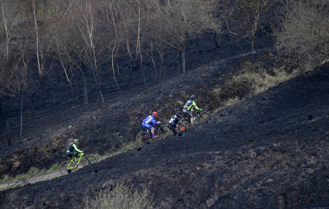 La estabilización de los incendios rebaja el nivel de alerta en Asturias La estabilización de los incendios rebaja el nivel de alerta en Asturias
