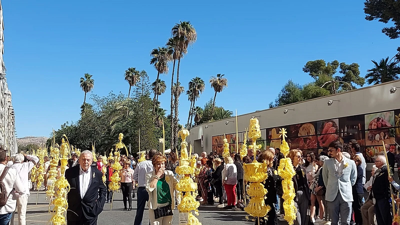 Procesión de Domingo de Ramos de 2023 en Elche. Procesión de Domingo de Ramos de 2023 en Elche.