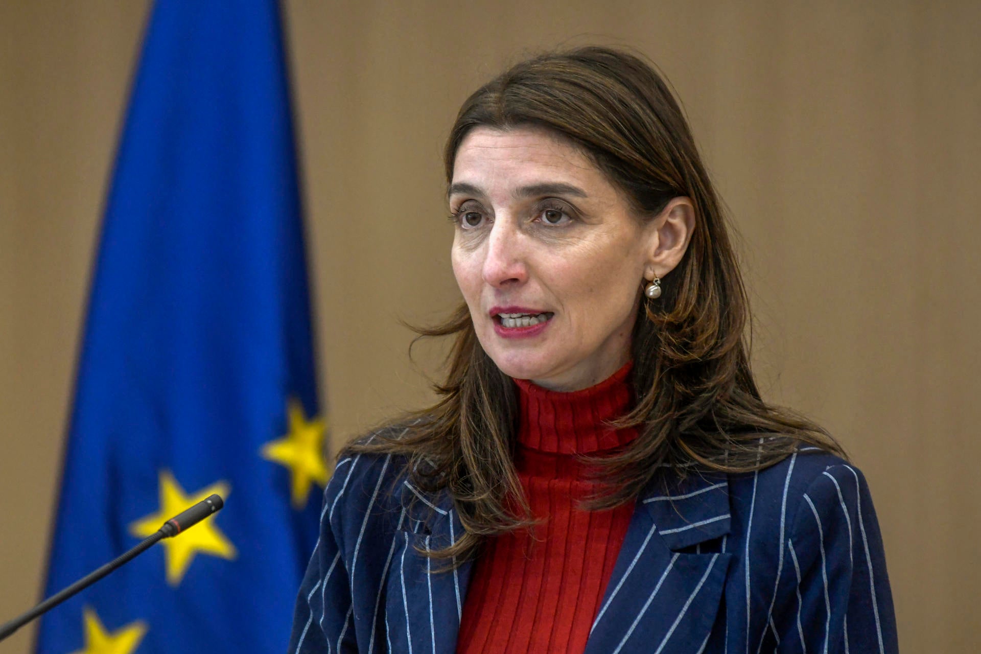 El Gobierno afirma que la gestación subrogada es "violación de derechos humanos" y que se tipificarán nuevas formas de trata El Gobierno afirma que la gestación subrogada es "violación de derechos humanos" y que se tipificarán nuevas formas de trata