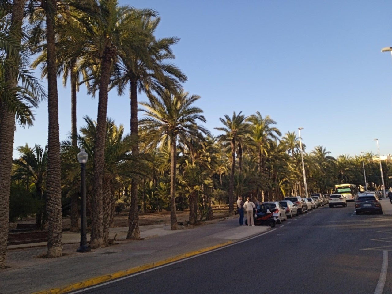 La primavera florece este fin de semana en Elche, Santa Pola y Crevillent La primavera florece este fin de semana en Elche, Santa Pola y Crevillent