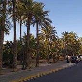 Huerto de la Cuerna de Elche. Huerto de la Cuerna de Elche.