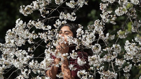 Imagen de una joven oliendo un cerezo en flor