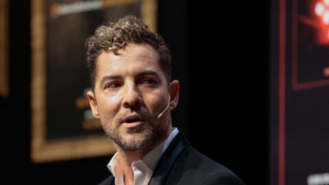 David Bisbal 