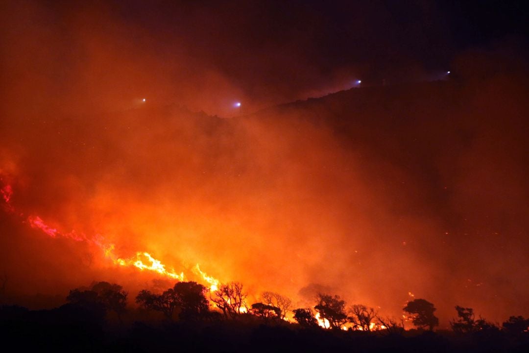 El incendio en Tarifa afecta a 50 hectáreas: sigue activo y en nivel 1 El incendio en Tarifa afecta a 50 hectáreas: sigue activo y en nivel 1