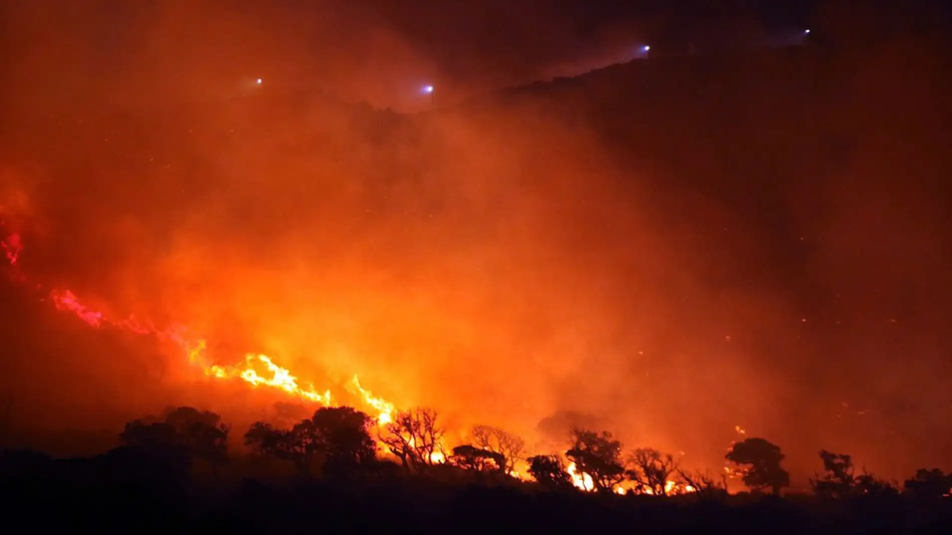 Imagen de archivo de un incendio forestal en Tarifa (Cádiz).
