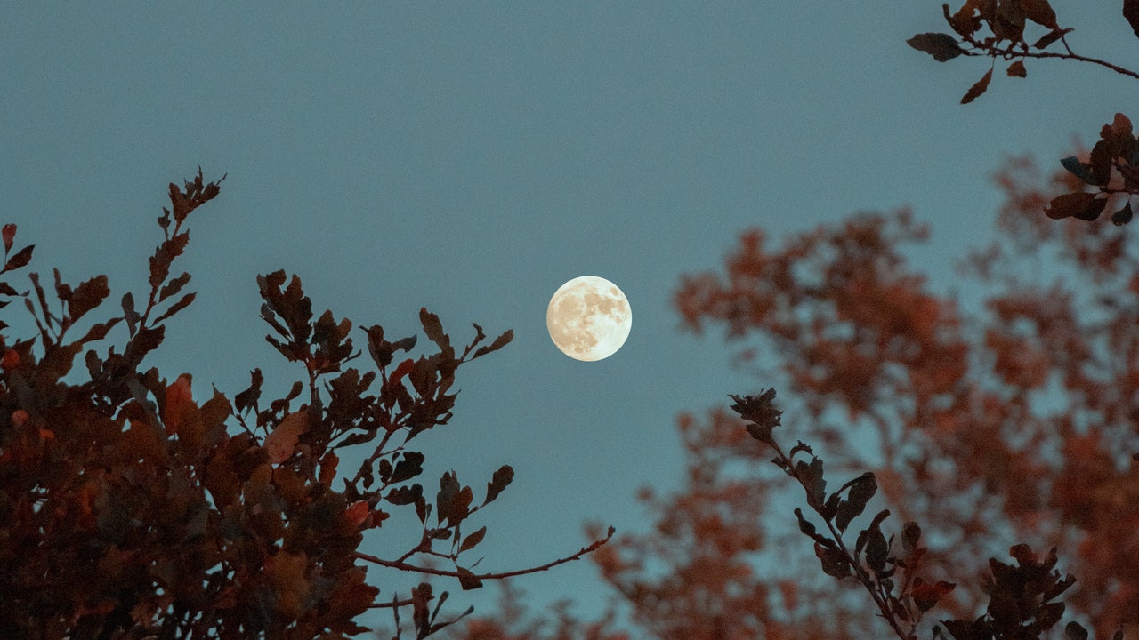 La luna llena de abril cuándo es la Luna rosa y por qué se llama así