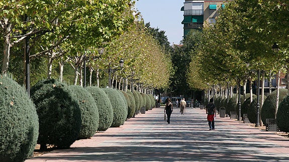 Ciudad Real adjudica el contrato para conservar las zonas verdes por 3,2 millones de euros Ciudad Real adjudica el contrato para conservar las zonas verdes por 3,2 millones de euros
