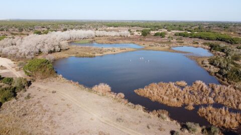 La laguna del Sopet&oacute;n en el parque de Do&ntilde;ana