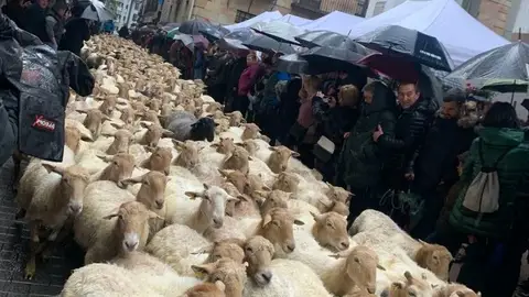 Artzai Eguna 2023 Artzai Eguna 2023