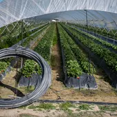 El Gabinete: ¿Somos conscientes de la gravedad de la sequía? El Gabinete: ¿Somos conscientes de la gravedad de la sequía?