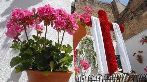 cruces