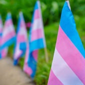 Banderas trans