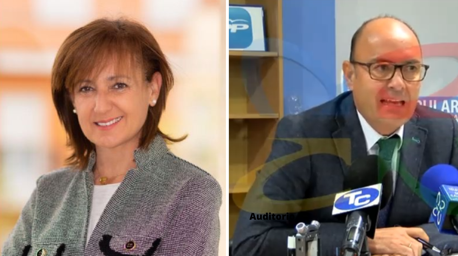 La Audiencia ratifica procedimiento de jurado para la causa contra la presidenta del PP en Calasparra La Audiencia ratifica procedimiento de jurado para la causa contra la presidenta del PP en Calasparra