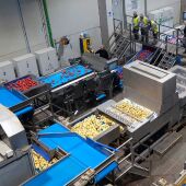 La tecnología robótica de última generación llega a la producción y comercialización de patatas