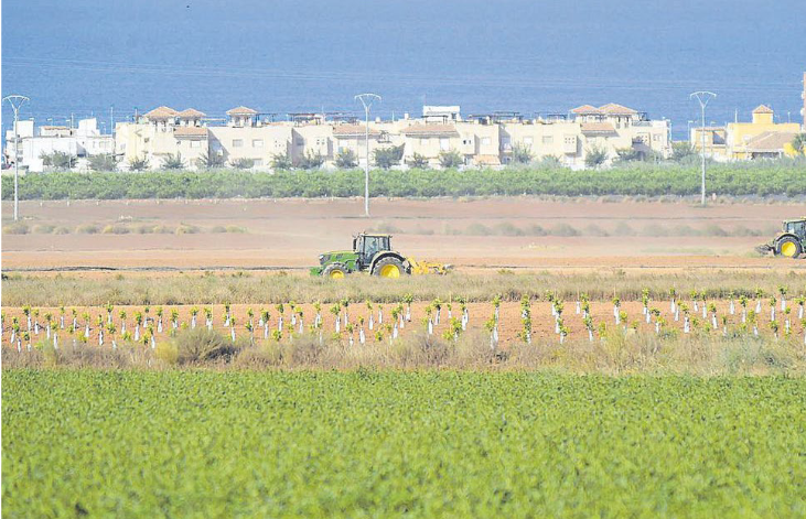 La CHS ha impuesto 3,3 millones de euros en sanciones por regadío ilegal en el Campo de Cartagena La CHS ha impuesto 3,3 millones de euros en sanciones por regadío ilegal en el Campo de Cartagena