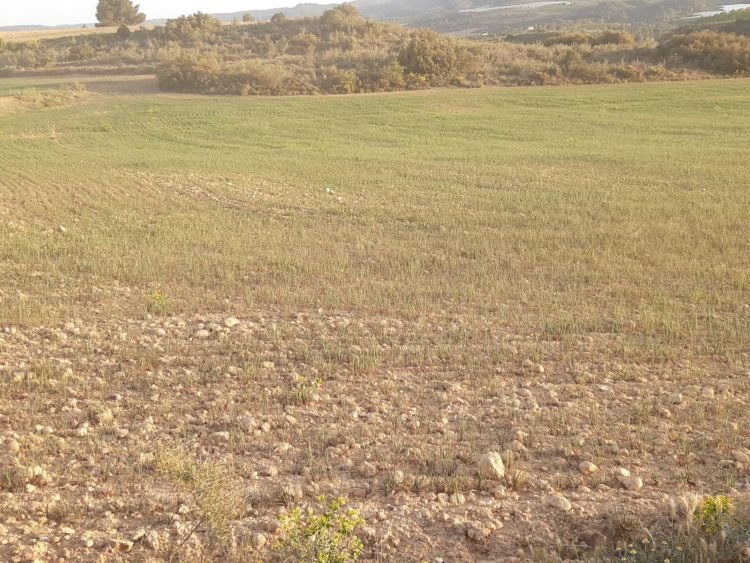 La cuenca del Aragón vuelve a niveles de emergencia por la sequía La cuenca del Aragón vuelve a niveles de emergencia por la sequía