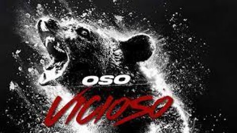 Oso Vicioso