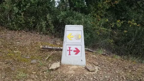 Camino Lebaniego En el Año Jubilar Lebaniego