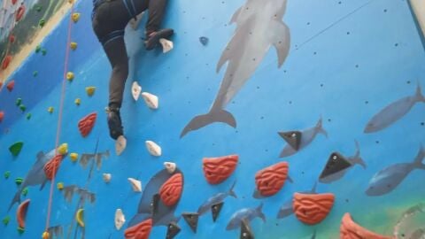 Quality Roc&oacute;dromo Torrelavega