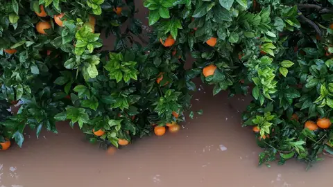 AVA SEQUIA REGADÍOS AVA SEQUIA REGADÍOS