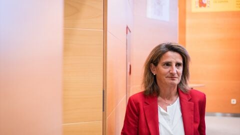 Teresa Ribera advierte a de que acudirán al Constitucional si siguen adelante con su plan sobre Doñana