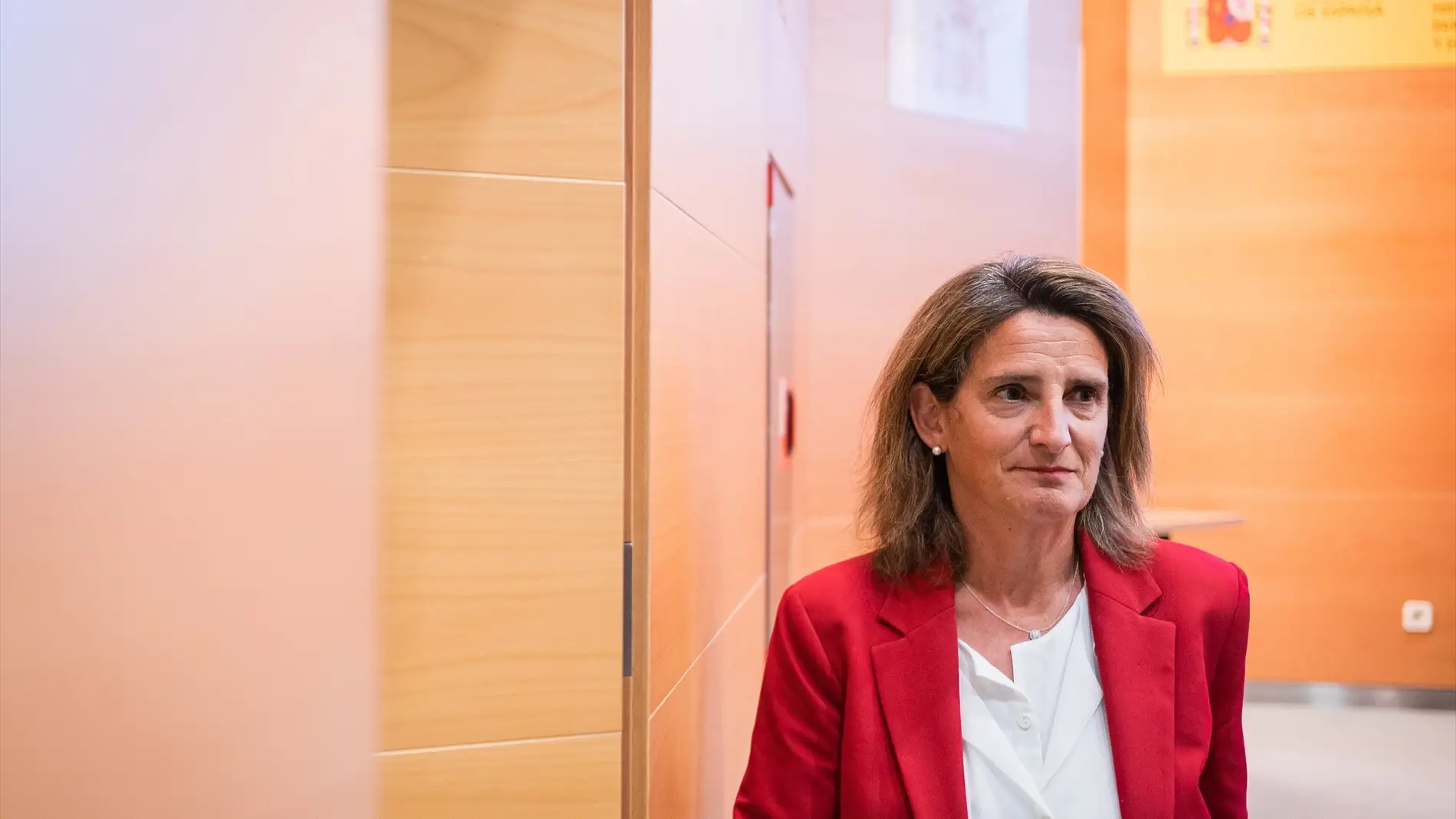 Teresa Ribera advierte a de que acudirán al Constitucional si siguen adelante con su plan sobre Doñana