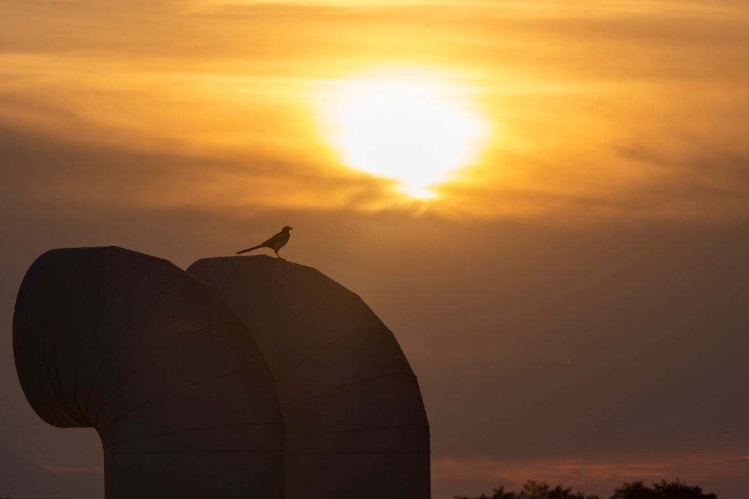El portavoz de la AEMET, sobre el calor extremo y cambio climático: "No es normal la frecuencia de estos episodios" El portavoz de la AEMET, sobre el calor extremo y cambio climático: "No es normal la frecuencia de estos episodios"