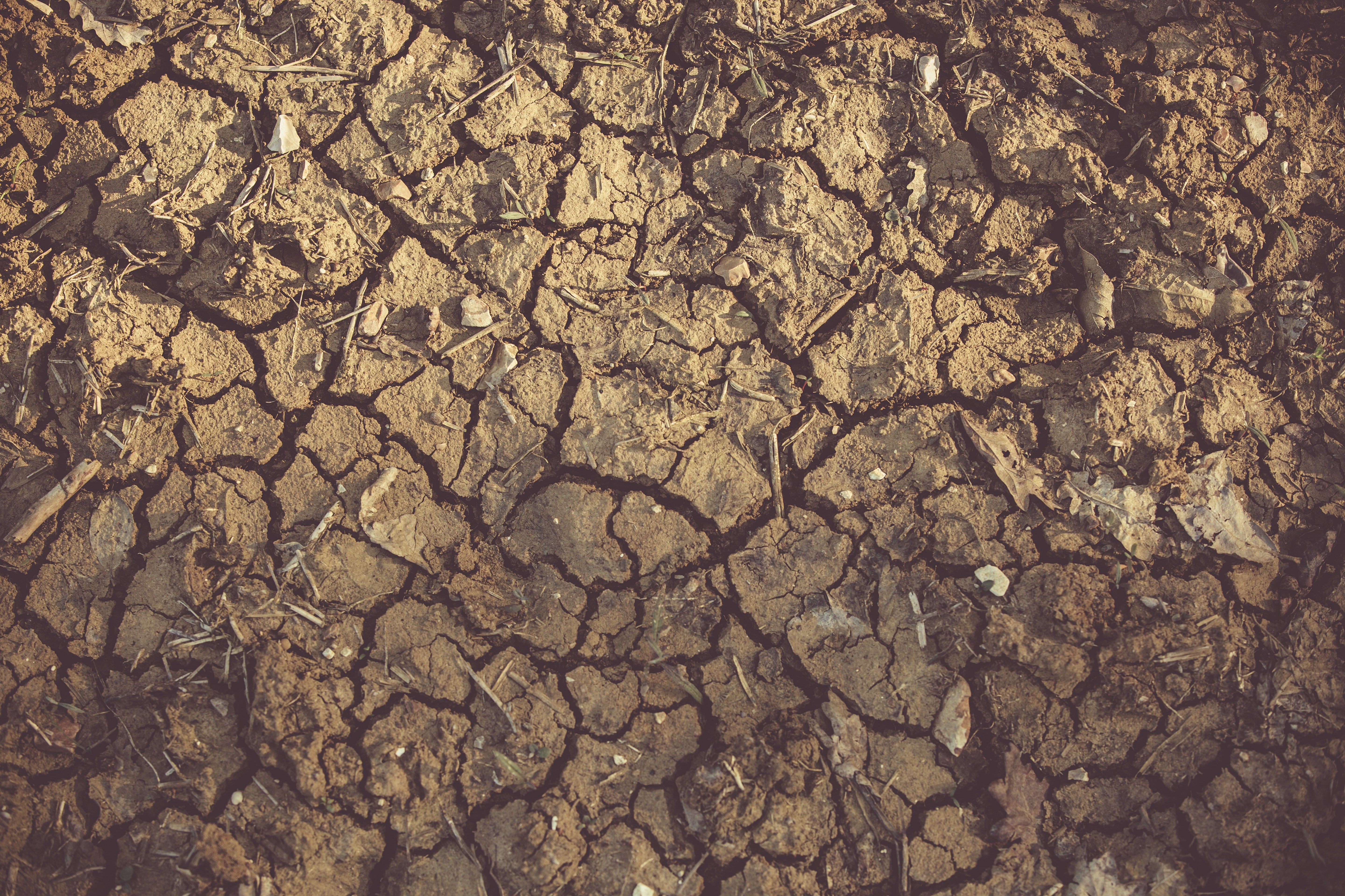 La Diputación tramita la exención del IBI a los agricultores afectados por la sequía La Diputación tramita la exención del IBI a los agricultores afectados por la sequía