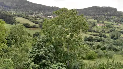Baldornón Parroquia rural de Gijón