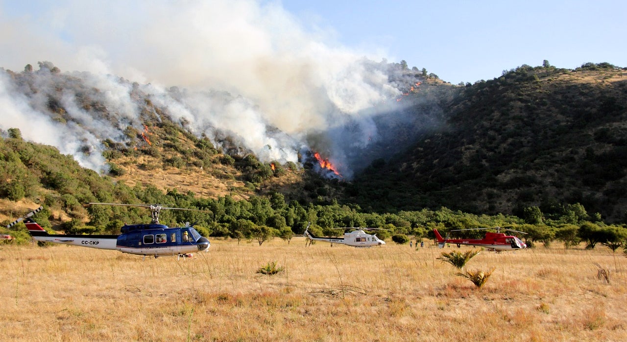 Los afectados por el incendio de Villanueva de Viver temen que las ayudas no cubran las pérdidas Los afectados por el incendio de Villanueva de Viver temen que las ayudas no cubran las pérdidas