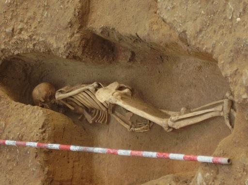 Un equipo de la Universidad Complutense identifica por primera vez restos óseos de origen fenicio en Cádiz y San Fernando Un equipo de la Universidad Complutense identifica por primera vez restos óseos de origen fenicio en Cádiz y San Fernando