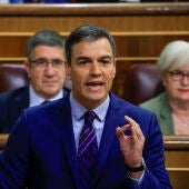 Pedro Sánchez interviene durante la sesión de control en el Congreso de los Diputado este miércoles