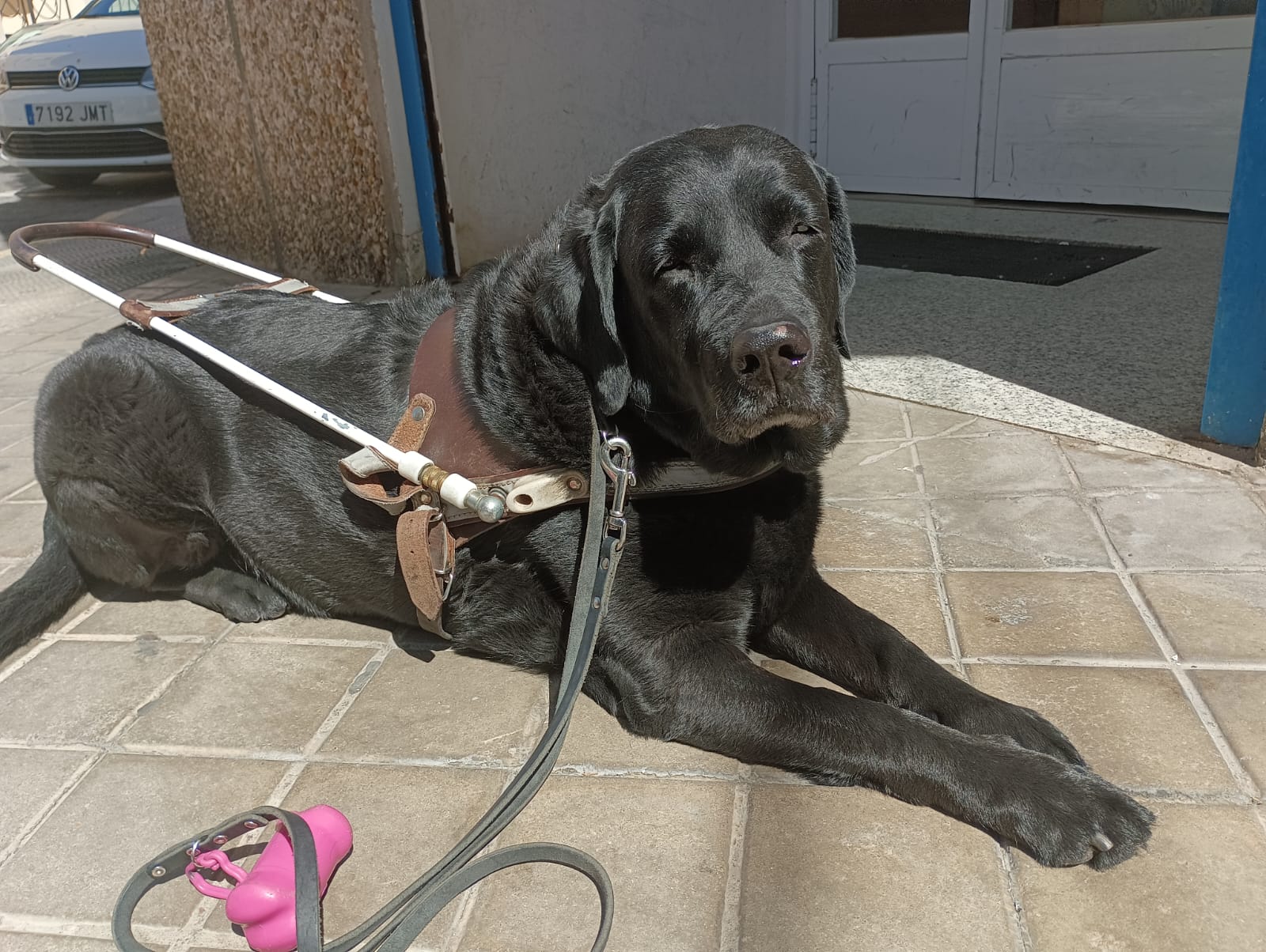 Isidro Sánchez, usuario de perro guía en Ciudad Real: "El perro guía es como un Mercedes y el bastón como un Seiscientos" Isidro Sánchez, usuario de perro guía en Ciudad Real: "El perro guía es como un Mercedes y el bastón como un Seiscientos"