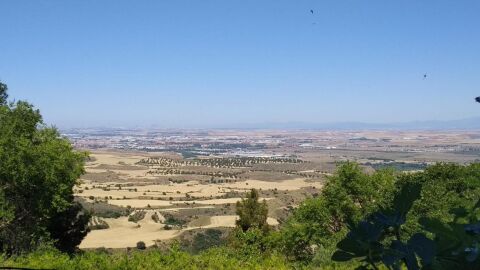 Vista de Alcal&aacute; de Henares desde el Parque de los Cerros