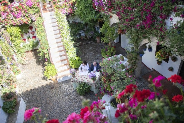 El VIII Concurso de Patios, Rincones y Rejas de la Provincia contará este año con 94 espacios El VIII Concurso de Patios, Rincones y Rejas de la Provincia contará este año con 94 espacios