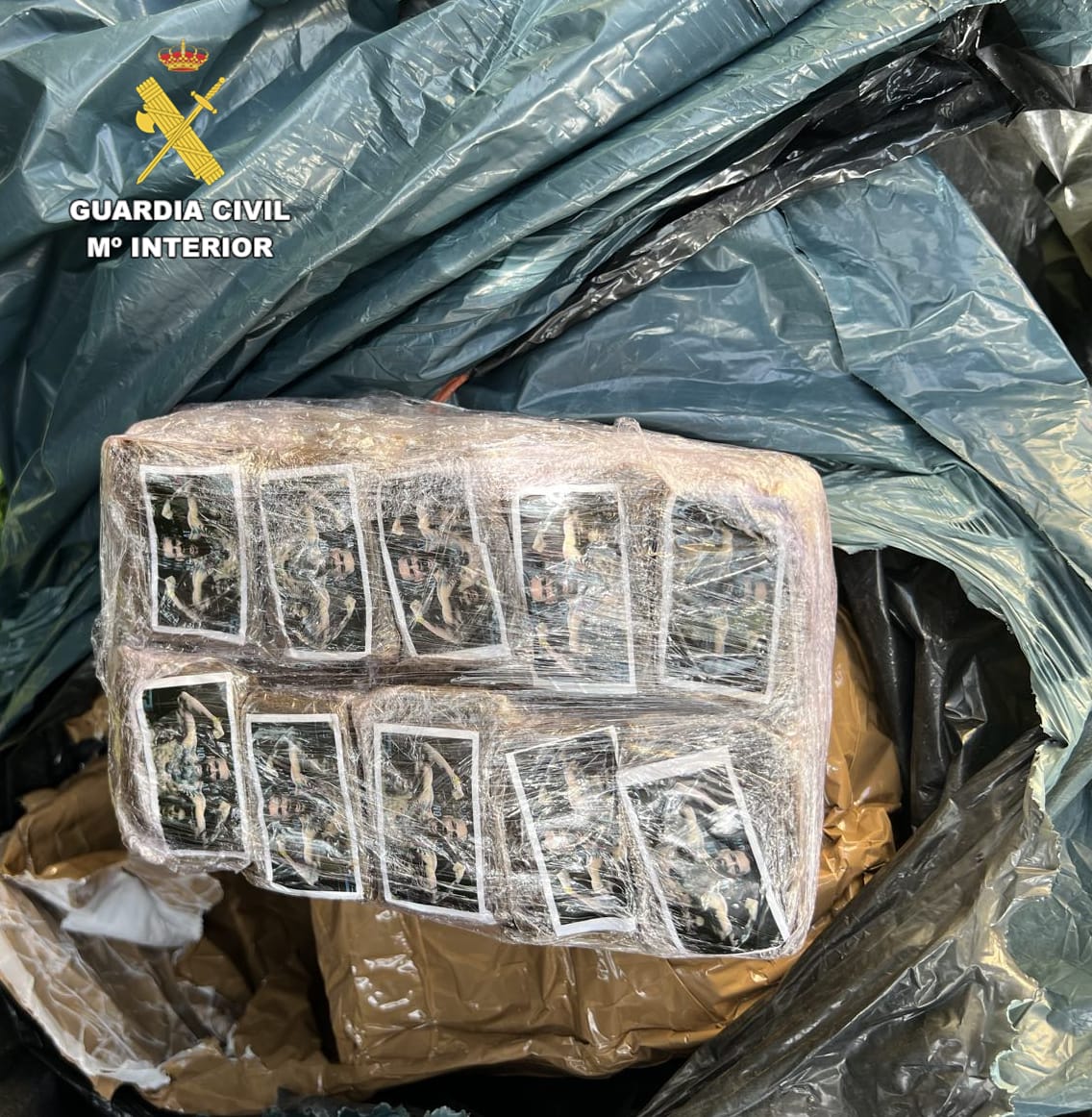 Detenido en la isla de Gran Canaria cuando transportaba un fardo de 30 kg de hachís en su coche. Detenido en la isla de Gran Canaria cuando transportaba un fardo de 30 kg de hachís en su coche.