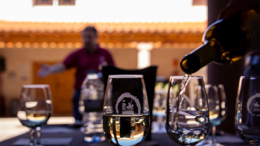 Vinos DO La Mancha