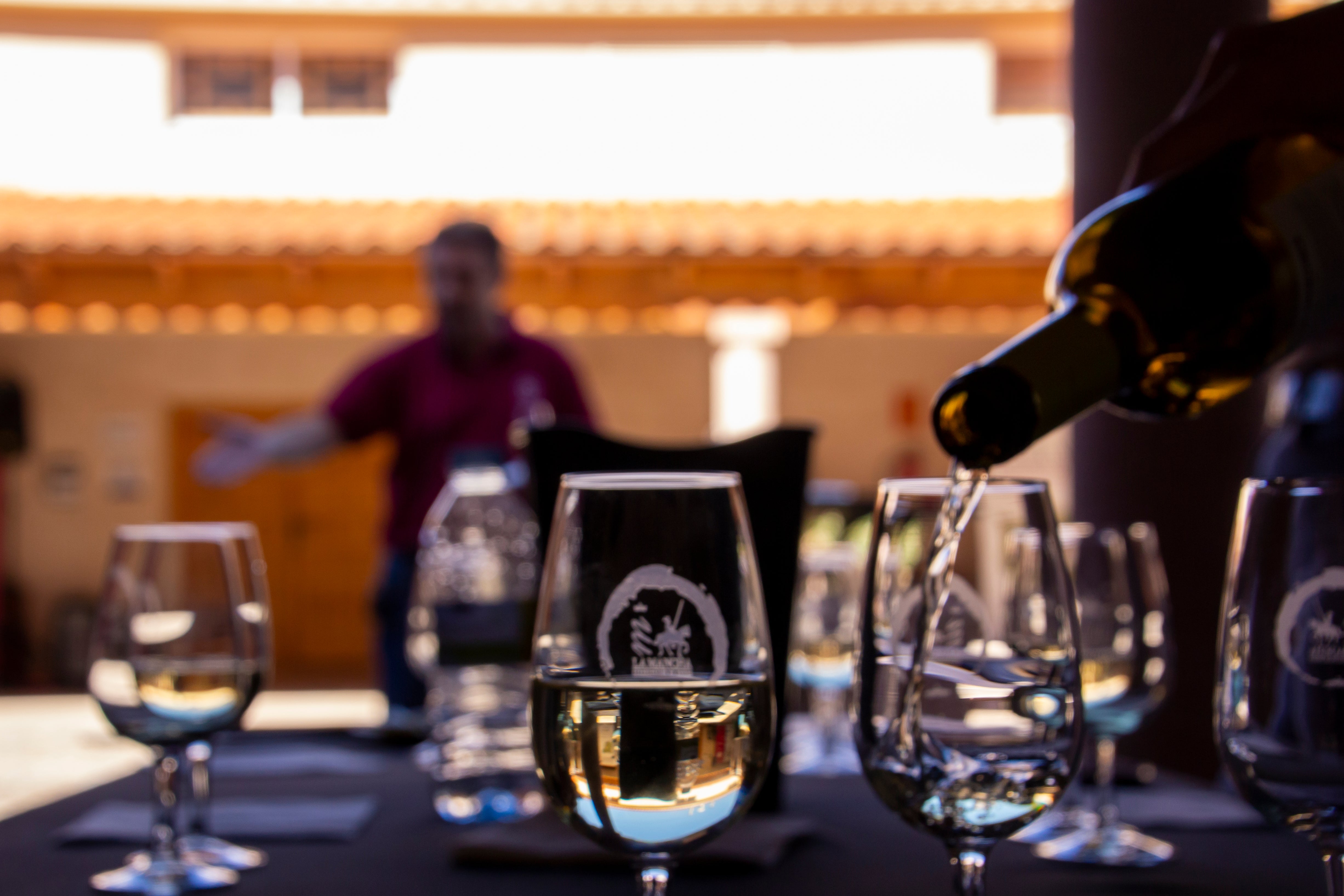 La DO La Mancha quiere incorporar a su catálogo de variedades la uva albariño La DO La Mancha quiere incorporar a su catálogo de variedades la uva albariño