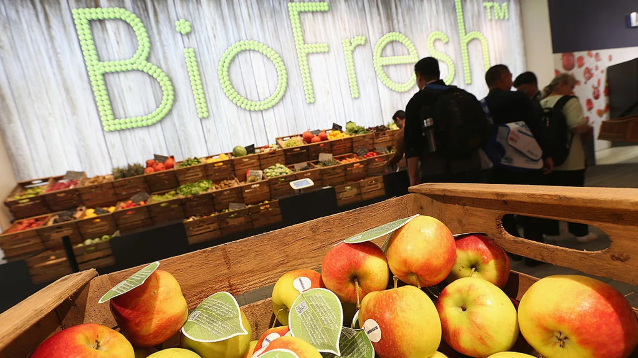 Visitantes contemplan la variedad de productos eco en BioFresh