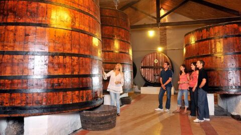 Bodegas Somontano