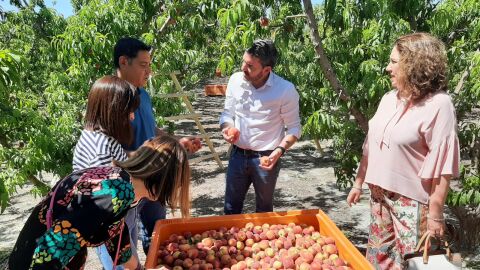 La UE aprueba definitivamente la Indicaci&oacute;n Geogr&aacute;fica Protegida del melocot&oacute;n de Cieza 