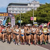 O Gran Premio Cantones de marcha quenta motores O Gran Premio Cantones de marcha quenta motores