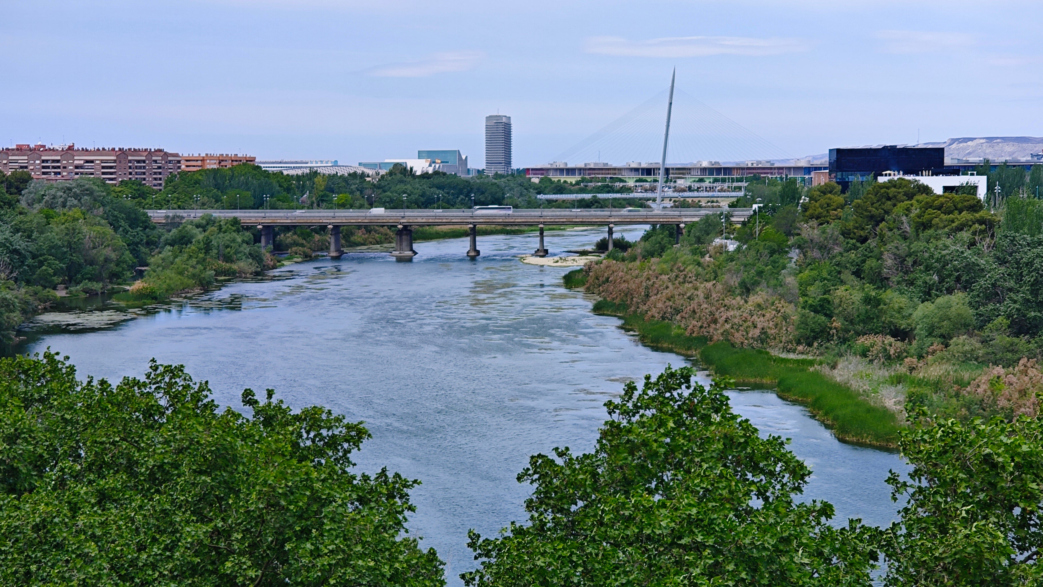 La ausencia de avenidas podría impactar en la biodiversidad del Ebro La ausencia de avenidas podría impactar en la biodiversidad del Ebro